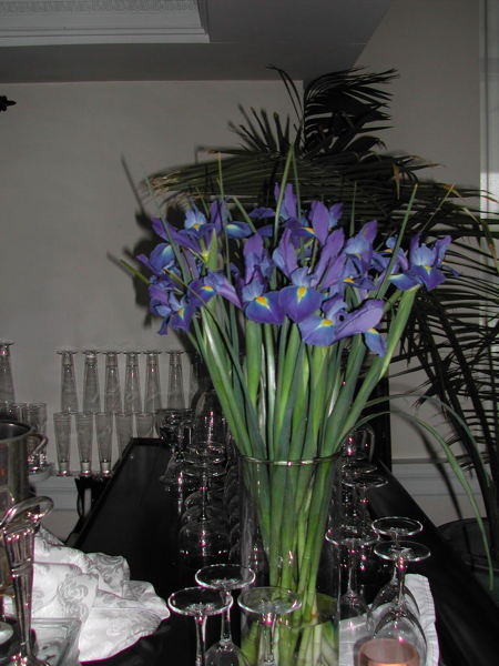 dscn0098.jpg
